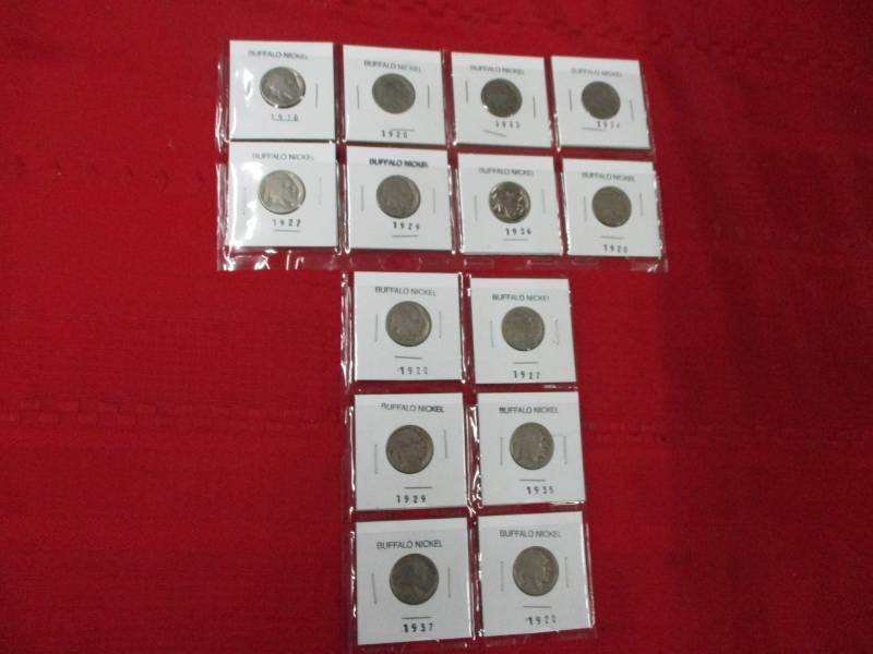 lot 99 image: 14 Buffalo Nickles