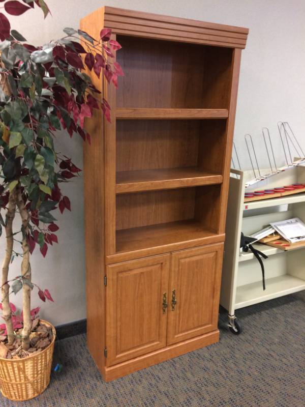 lot 16 image: BOOKCASE BOOKSELF FILE CABINET COMBO