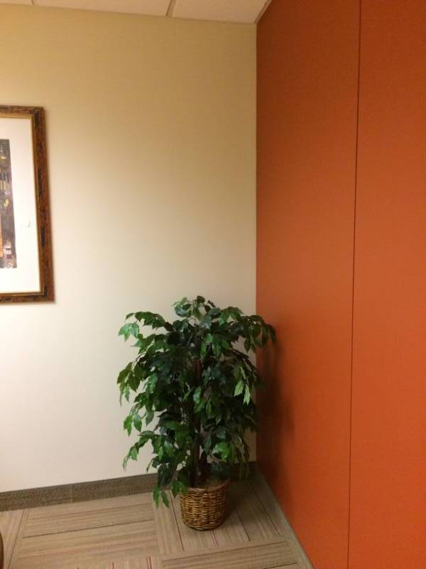 Artificial Plant - Excellent Condition