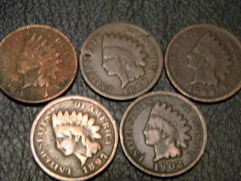 5 Indian Head Pennies