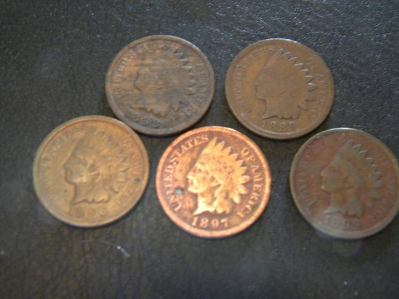 5 Indian Head Pennies