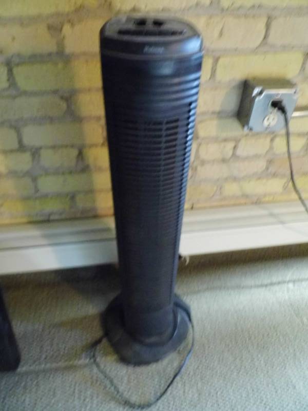 Fan
