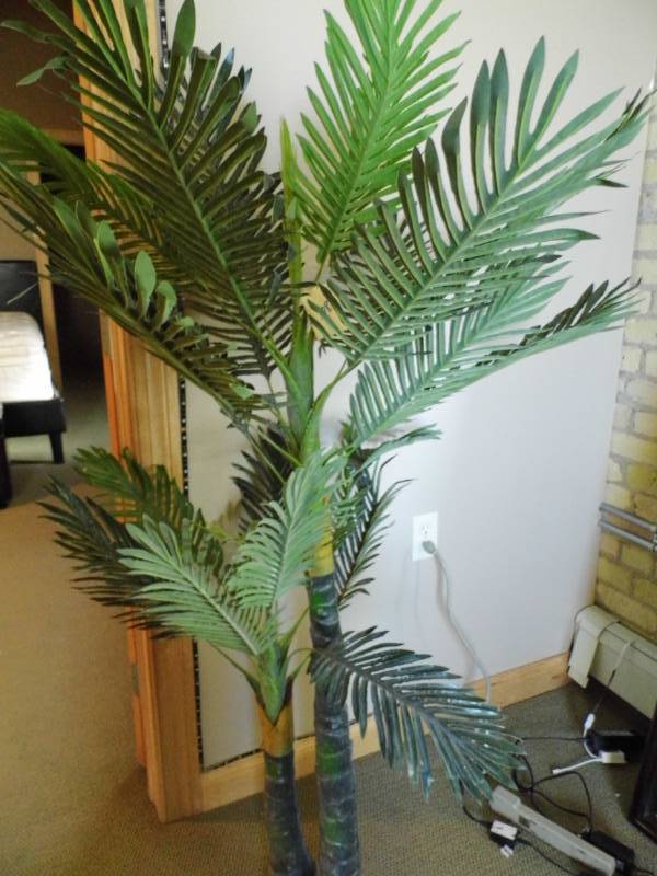 Artificial Palm Trees