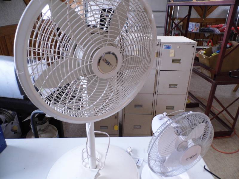 lot 217 image: Fans