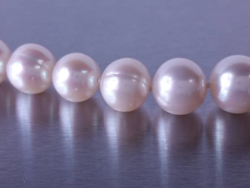 18 Pearl Necklace in 14kt White Gold