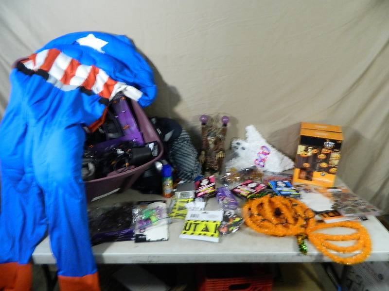 lot 166 image: Halloween Decorations and Costumes