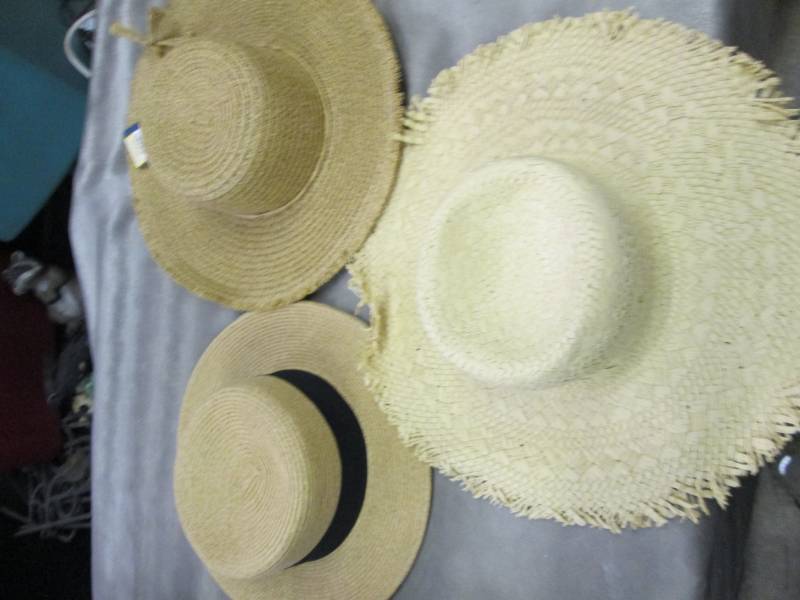 lot 3 image: 3 Beach Sun Hats...