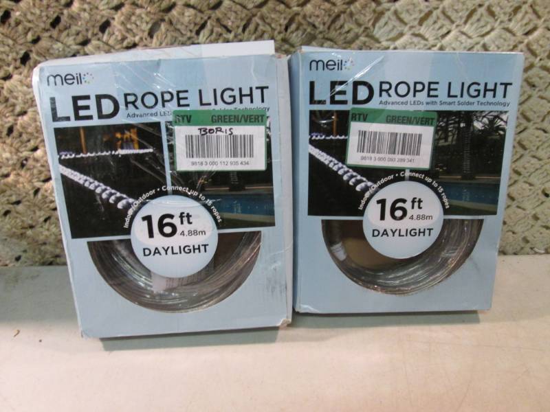 lot 25 image: Lot of 2 Day Light 16 foot IndoorO...