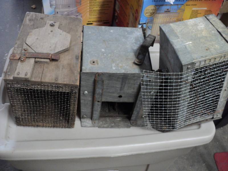 3 animal traps...