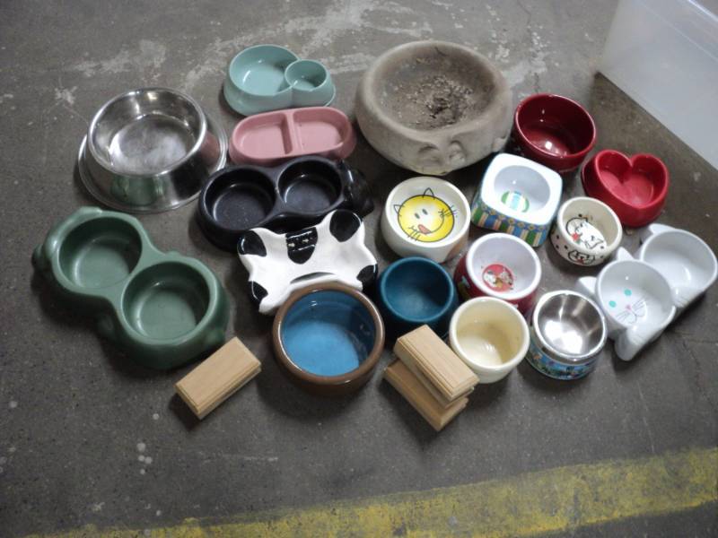 lot of cat and dog feeding dishes...