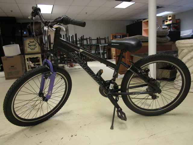 lot 304 image: SCHWINN BICYCLE