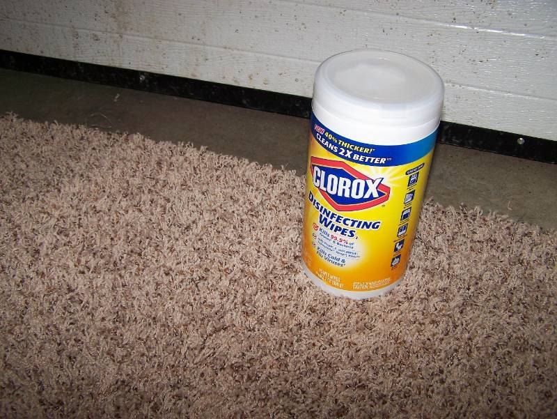 Carpet Remnant