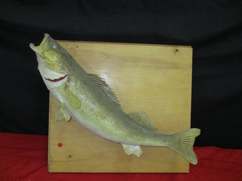 Mounted Walley