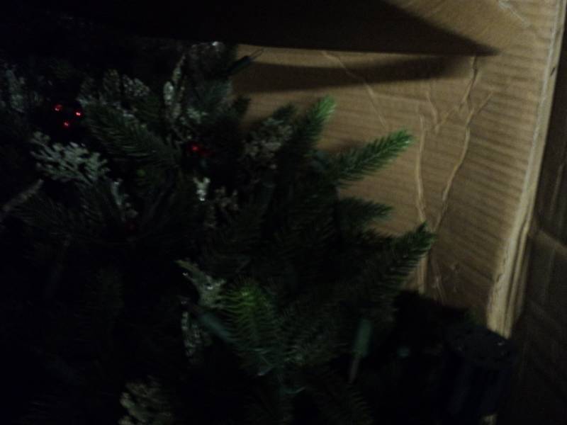 9 ft Andes Fir-Clear Tree...