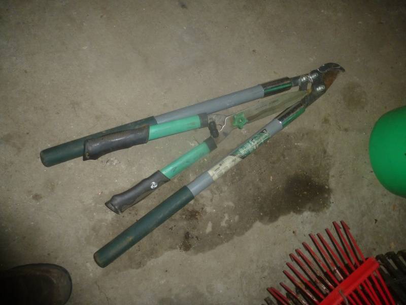 lot 38 image: Tree PrunerHedge shear