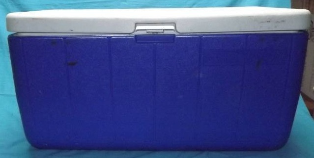 lot 204 image: Coleman Cooler