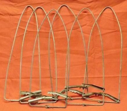 lot 234 image: Animal Pelt Stretchers