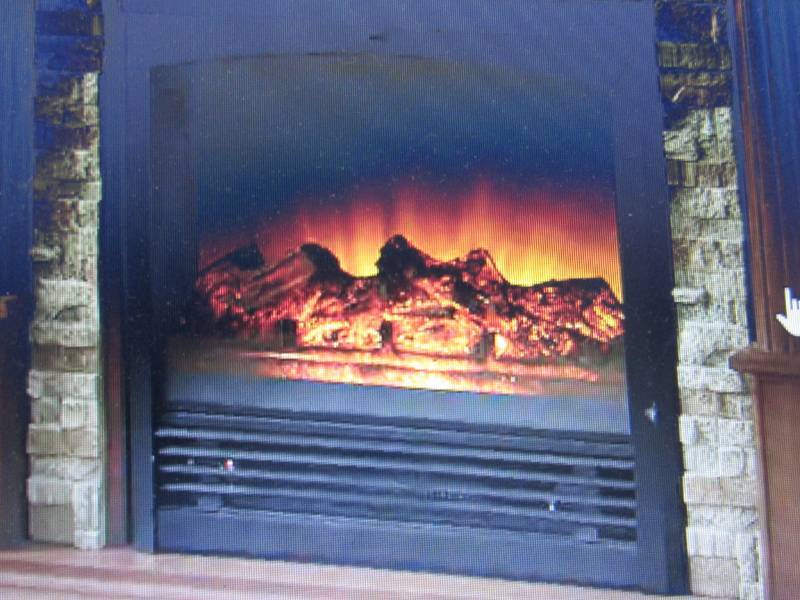 lot 114 image: Fireplace Insert open box, untested...