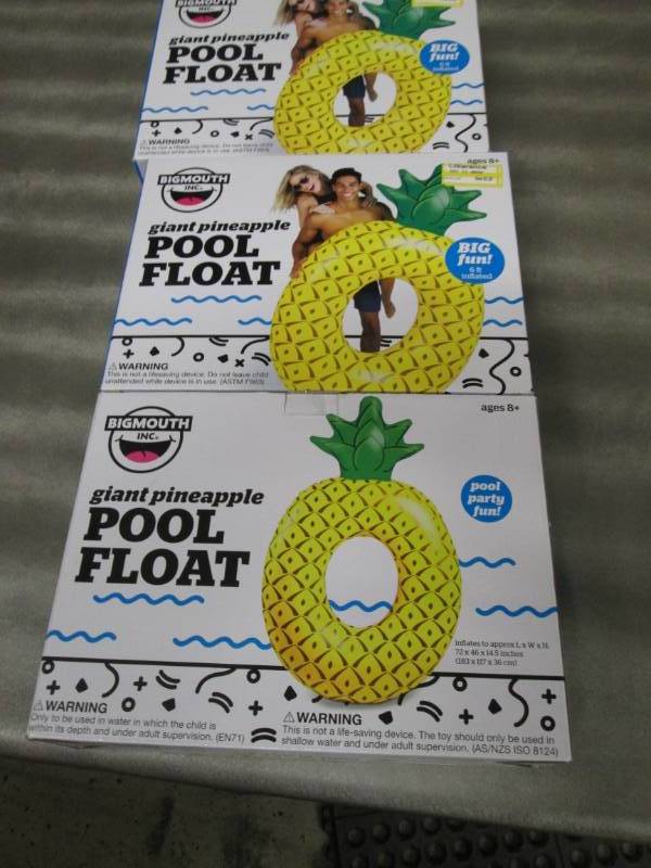 lot 169 image: Lot of 3 Large Pool Floats...