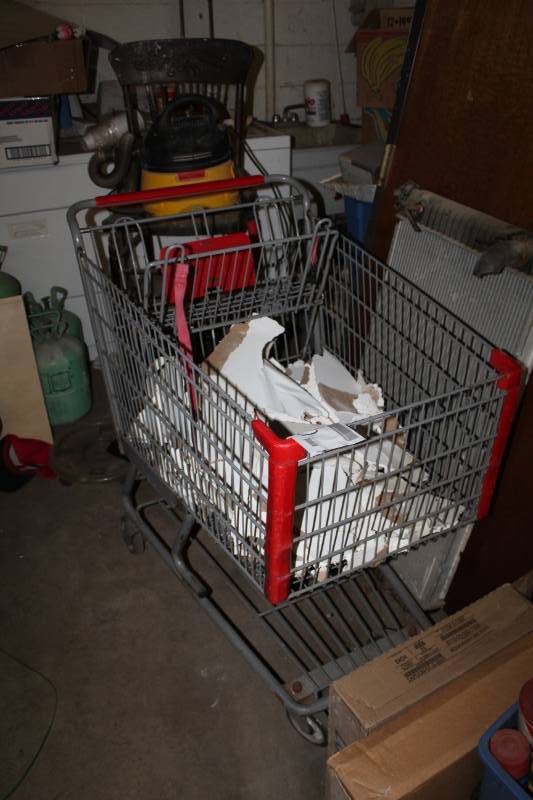 lot 100 image: Grocery Cart