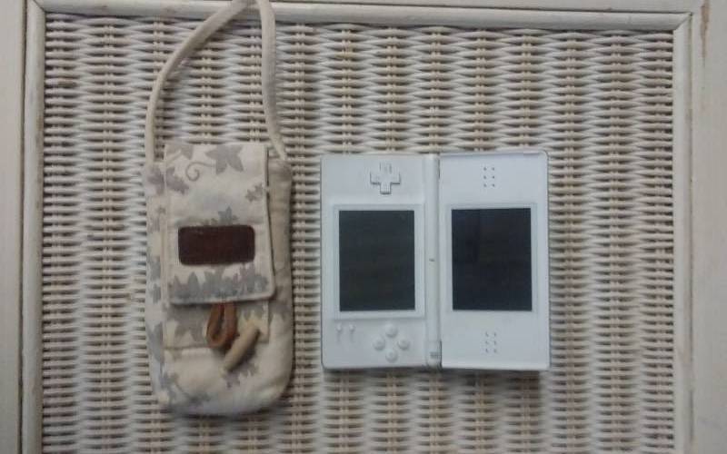 lot 12 image: Nintendo DS Lite With Case