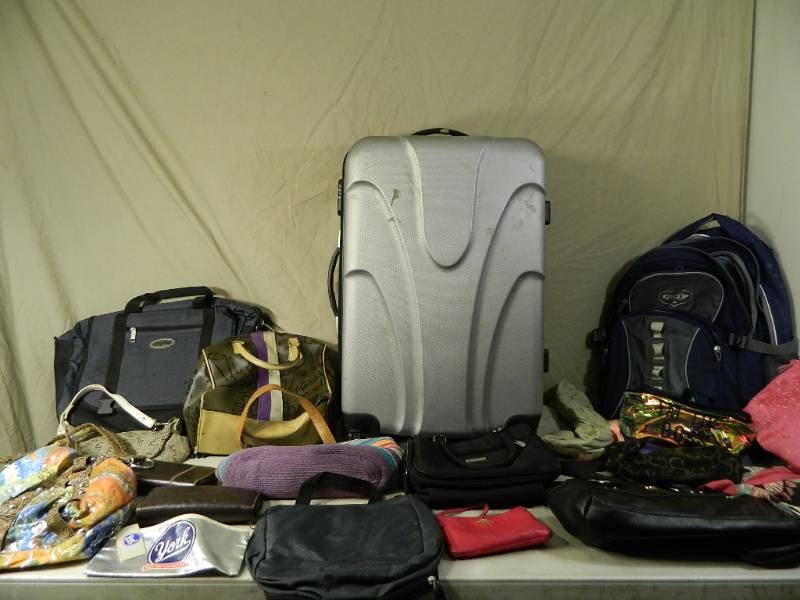 lot 163 image: Luggage, Purses, More