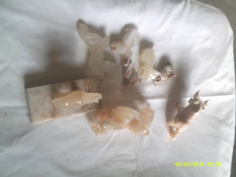 lot 43 image: HAND CARVED SOAP STONE BIRDS AND ANIMALS