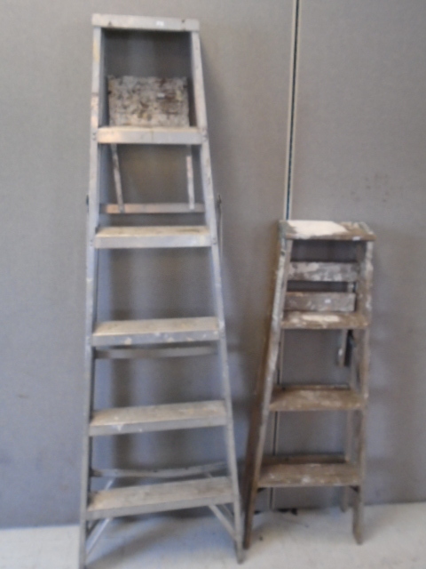lot 18 image: 2 Ladders