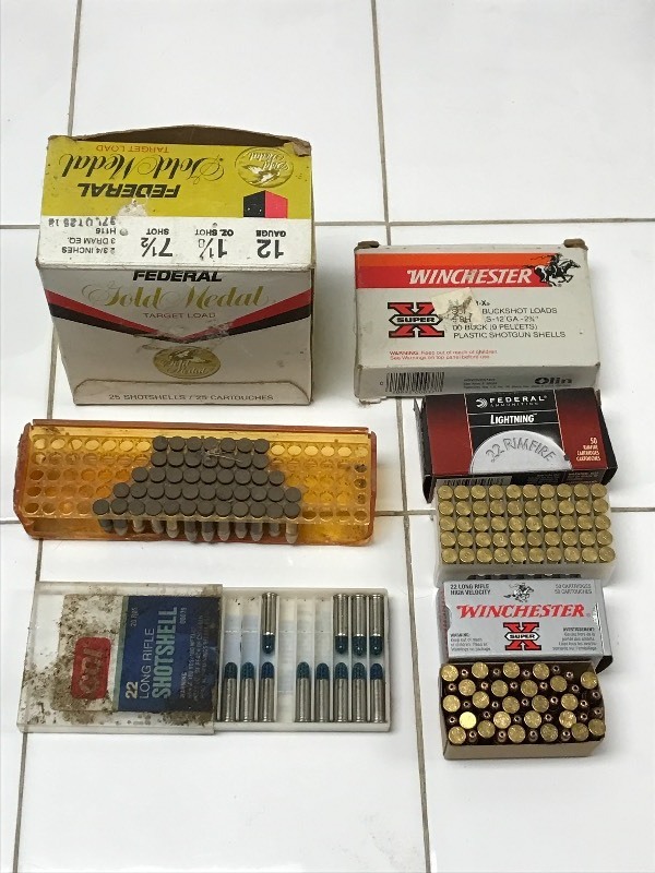 lot 10 image: Assorted 12-Gauge Ammo & .22-Caliber Ammo