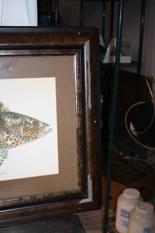 lot 339 image: Picture Fish