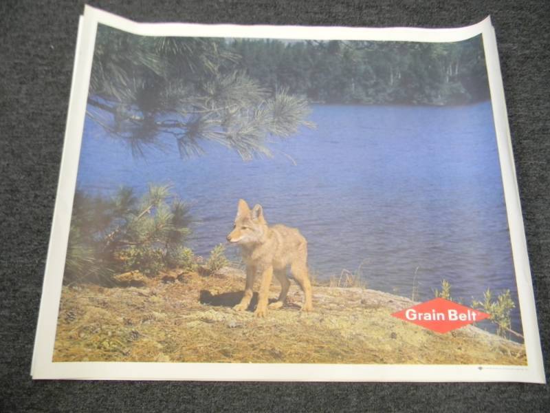 lot 17 image: RARE - VINTAGE GRAIN BELT BEER MPLS. BREWING CO. ADVERTISING PRINT - RARE - APPROX 33 BY 27 ON CANVAS TYPE PAPER - SEE PICTURES