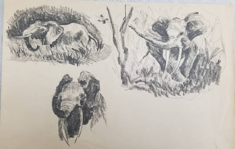 lot 65 image: Lot of 30 Original 1950s Les Anderson Portrait and Nude Figure Drawings
