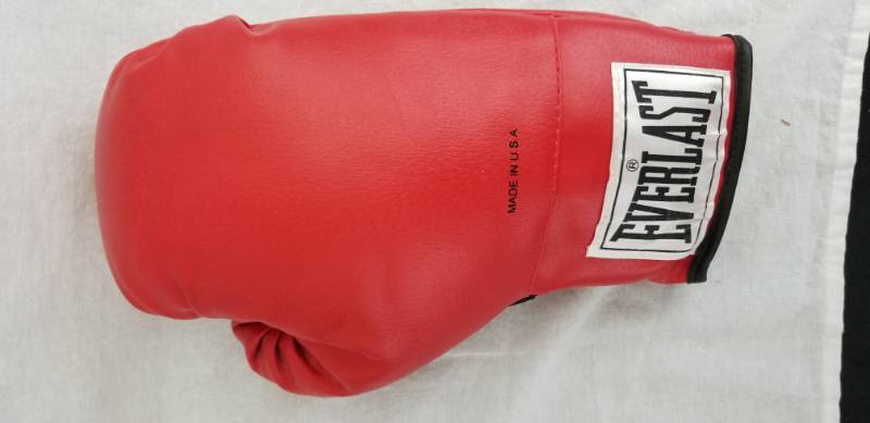 lot 111 image: Lot of Everlast Boxing Gloves, Free Weights and Gripmaster Set