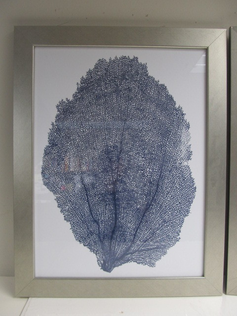lot 153 image: Framed Large Leaf Wall Art