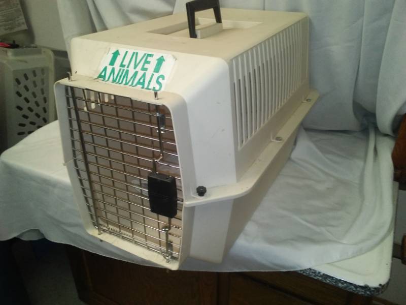 lot 157 image: Pet Taxi pet carrier