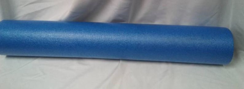 lot 207 image: Physical Therapy back noodle.
