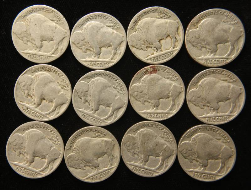 GROUP OF 12 US BUFFALO NICKELS AS PICTURED