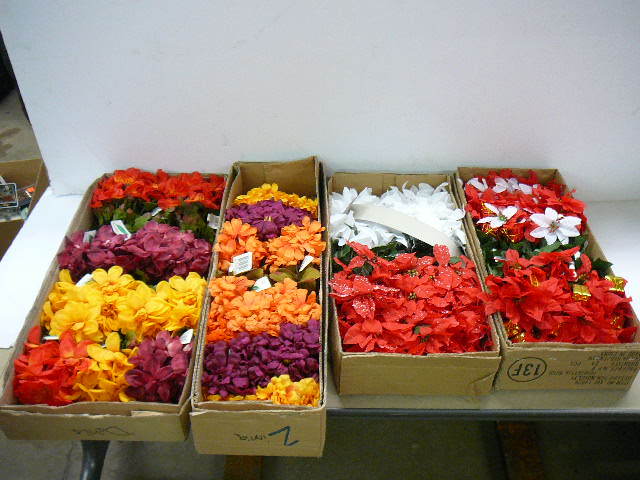 Varity of Flower