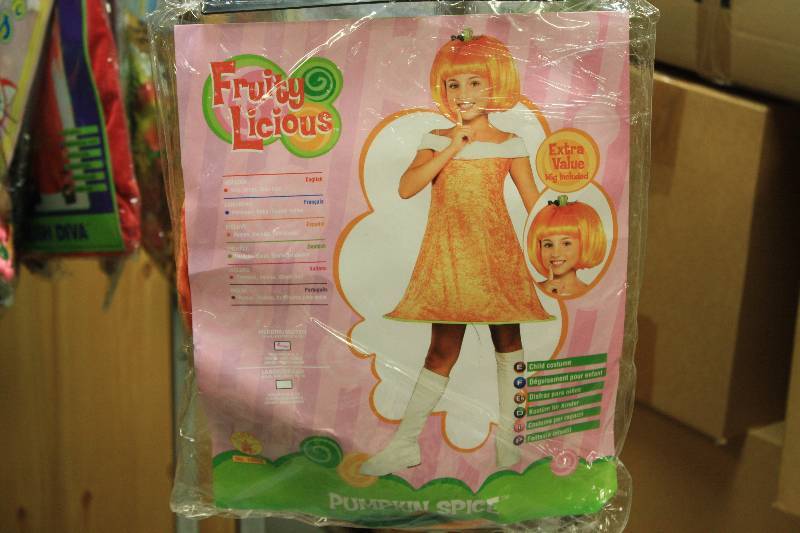lot 208 image: Fruity Licious Pumpkin Spice Child Costume SIze Medium 8-10