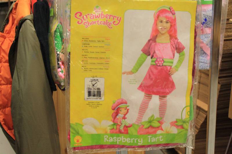 lot 209 image: Strawberry Shortcake Raspberry Tart Toddler Costume - Size 2-4