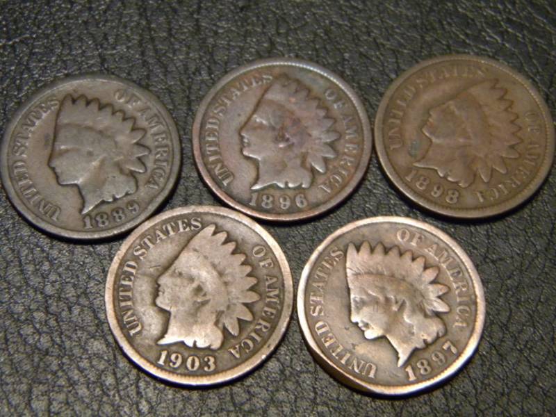 5 Indian Head Pennies