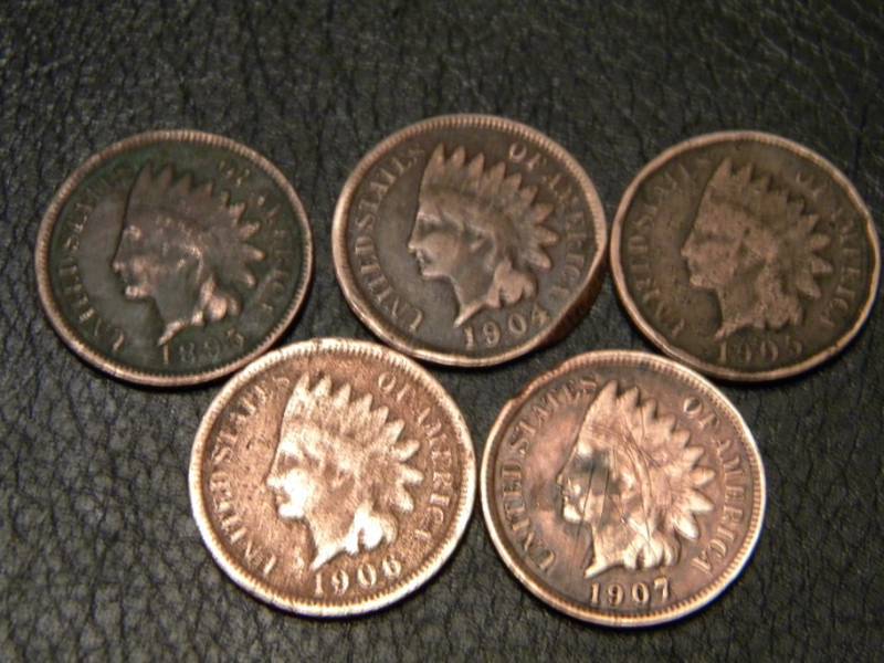 5 Indian Head Pennies