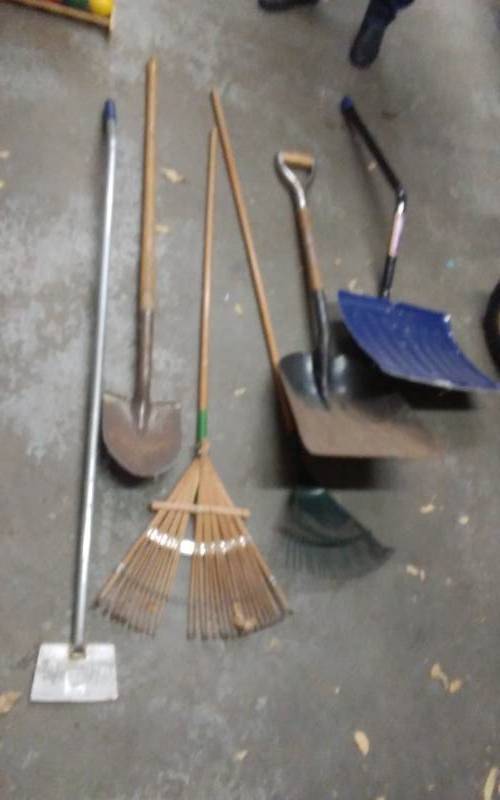 lot 7 image: 2-Rakes, Steel Shovel. Tile Scraper, Other Shovels