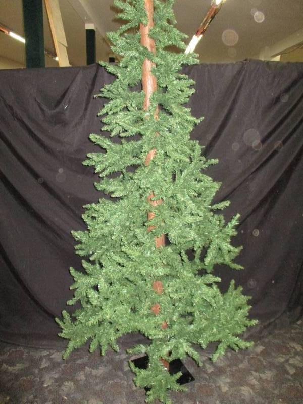 lot 3 image: 7 12 ft evergreen tree