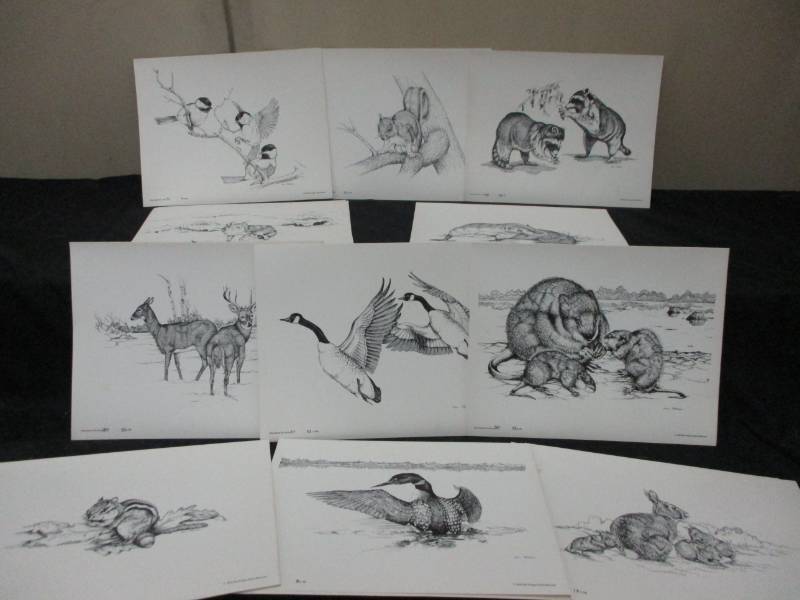 lot 144 image: FergusFalls  Native Gary Petersons Collection of Pen Art Fergus Falls Miodweek