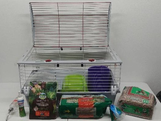 lot 24 image: Complete Guinea Pig Small Pet Setup, living World
