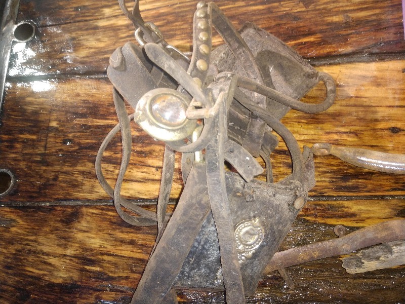 lot 11 image: Vintage Horse Tacs and Equine Items