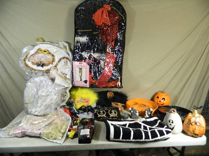 Holiday Decor and Costumes