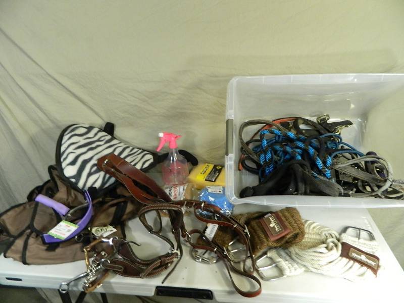 Tote with Lid Full of Horse Accessories