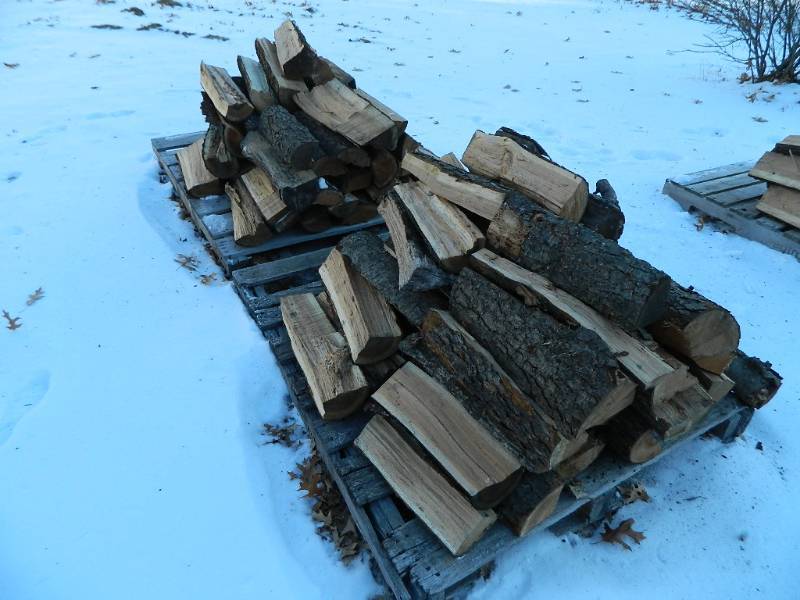 Pile of Split Firewood